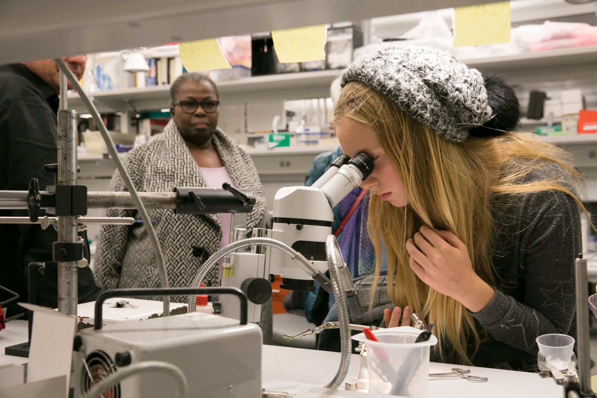 Getting a microscopic view of neurons.