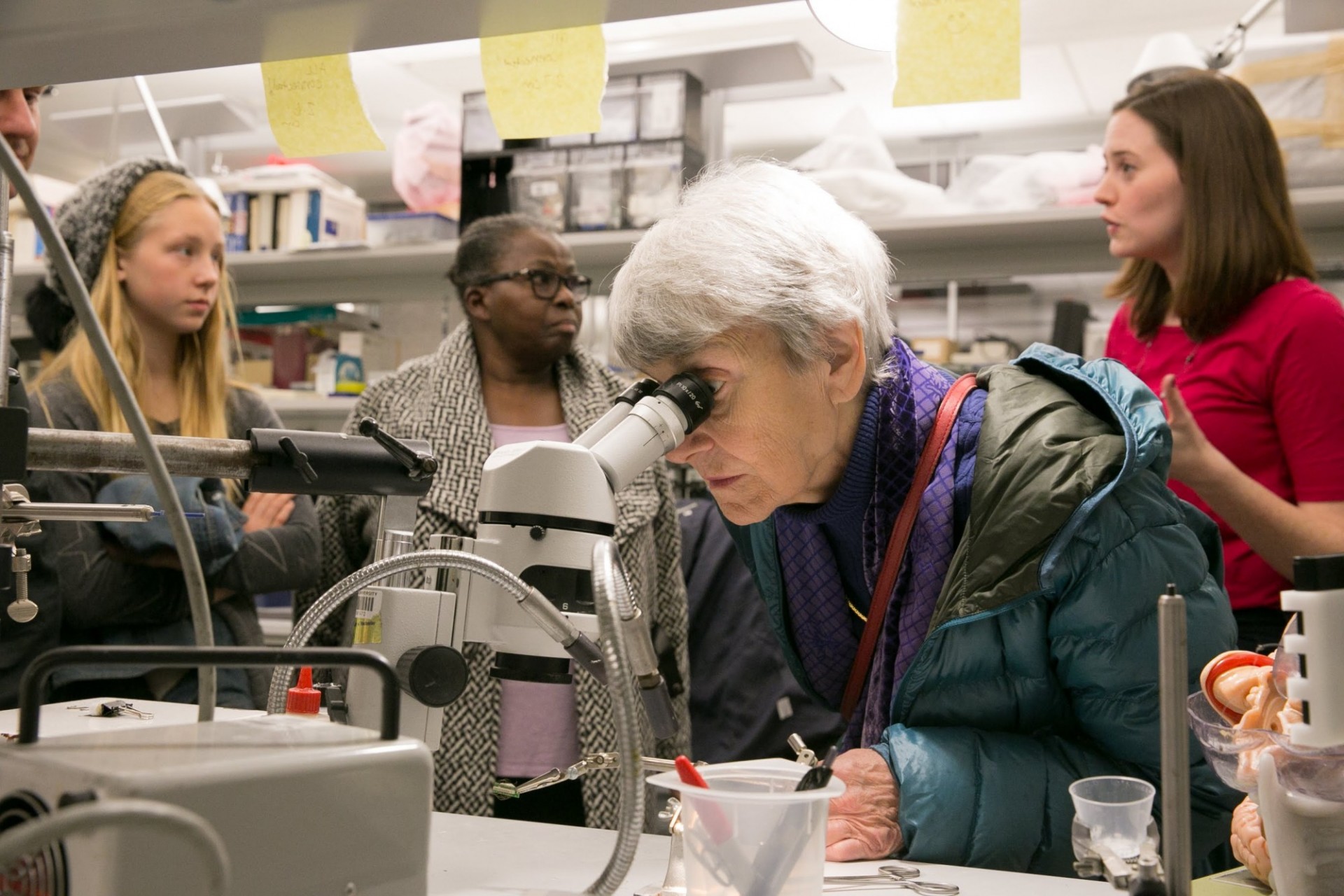 Getting a microscopic view of neurons.