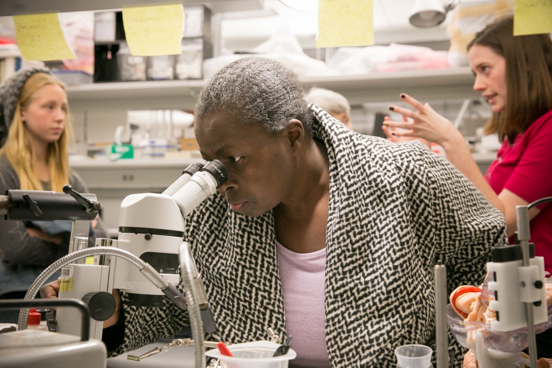 Getting a microscopic view of neurons.